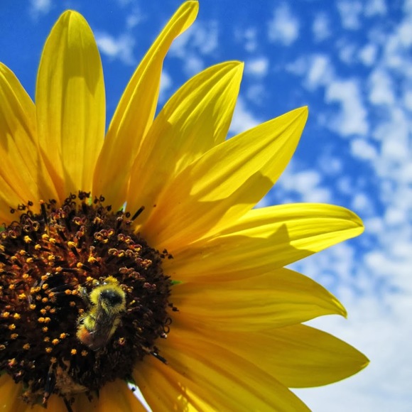 Meet your Posher, Molly - Picture 1 of 1